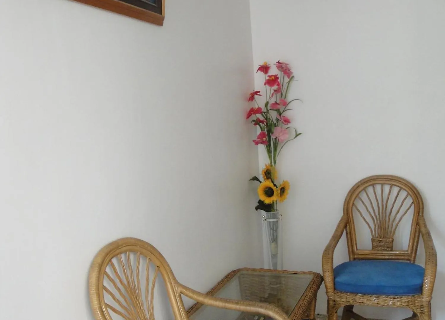 Harmony Hotel Panglao